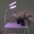 abovo_ul-00011829int7