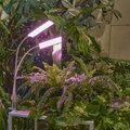 abovo_ul-00011829int8