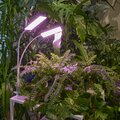 abovo_ul-00011829int9