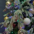 abovo_ul-00012087int1