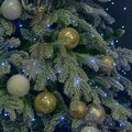 abovo_ul-00012093int2