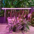 abovo_ul-00012367int