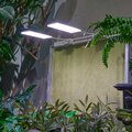 abovo_ul-00012578int2