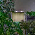 abovo_ul-00012578int4