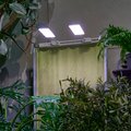 abovo_ul-00012578int5