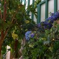 abovo_ul-00012694int4