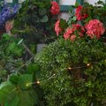 abovo_ul-00012694int5