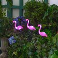 abovo_ul-00012698int4