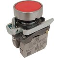 ad-db-5ai-0221-briswik