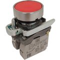 ad-db-5ai-0223-briswik