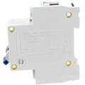 adl01-058-andeli-3