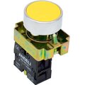 adl10-056-andeli