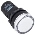 adl10-129-andeli