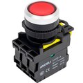 adl10-201-andeli