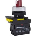 adl10-205-andeli