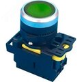adl10-266-andeli