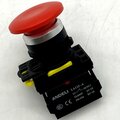 adl10-347-andeli