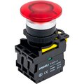 adl10-354-andeli