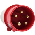 adl13-003-andeli