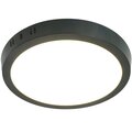 al504-51073-feron-3