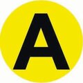 an-2-9-ekf