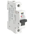 ar-m06n-1-c003dc-iek