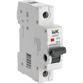 ar-swn-1-032-iek
