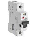 ar-swn-1-125-iek