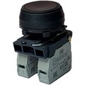 az-db-0ai-0121-briswik
