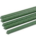 b0010286-green-apple