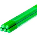 b0010287-green-apple