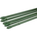 b0010289-green-apple
