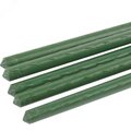 b0010315-green-apple