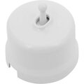 b1-230-21-bironi