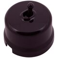b1-230-22-bironi