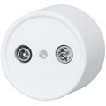 b1-305-21-bironi