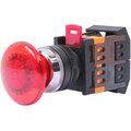 bbg20-aela-k045