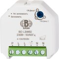 bd-l3w-02-bironi