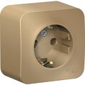 blnra010114-schneider-electric