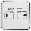 blnra011111-(3)