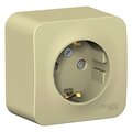 blnra011117-schneider-electric