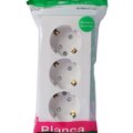 blnra011311-schneider-(4)