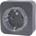 blnra110116-schneider-(2)