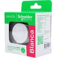 blnss040011-(4)