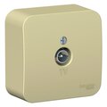blnta000017-schneider-electric