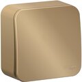 blnva101004-schneider-electric