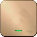 blnva101104-schneider-electric
