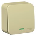 blnva101117-schneider-electric