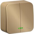 blnva105114-schneider-electric