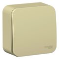 blnva106017-schneider-electric